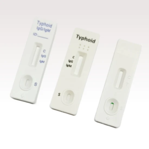 Typhoid IgG-IgM Rapid Test